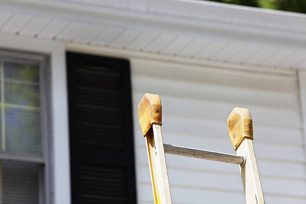 Reliable Wayland, MI Junk Removal Solutions